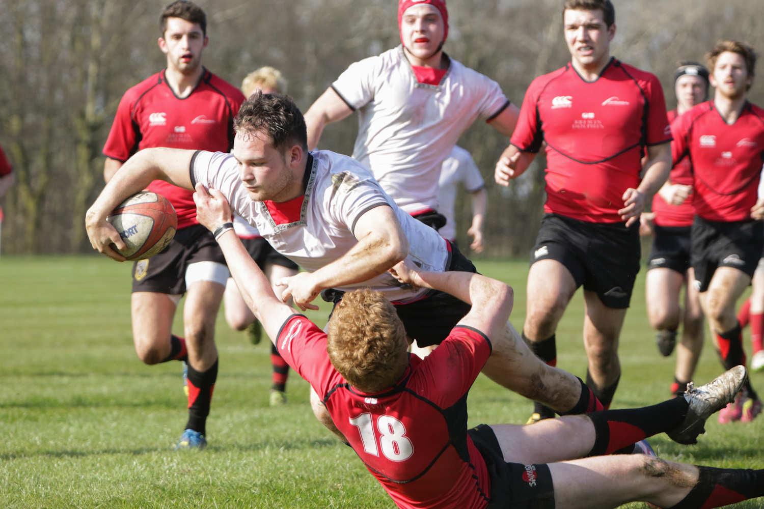 Lancaster Cats continue winning streak to the final [Pictures]